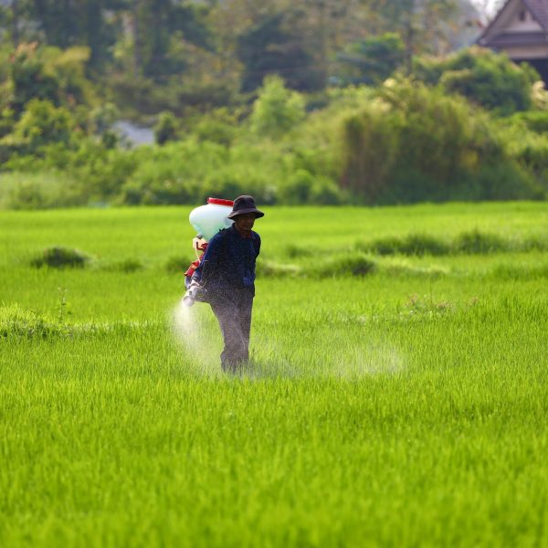 pestisides and fertilizers